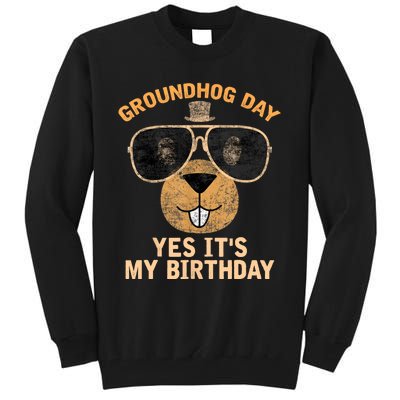 Happy Groundhog Day Lovers Costume Tall Sweatshirt