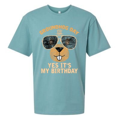 Happy Groundhog Day Lovers Costume Sueded Cloud Jersey T-Shirt