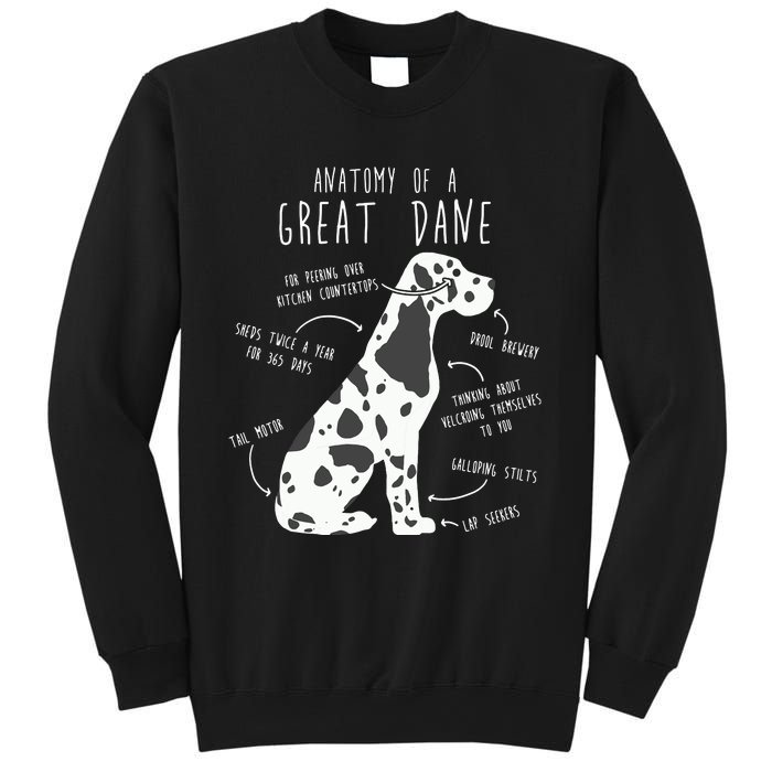 Harlequin Great Dane Dog Anatomy Funny Pet Mom Cute Dog Dad Sweatshirt