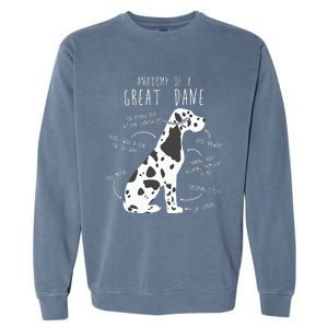 Harlequin Great Dane Dog Anatomy Funny Pet Mom Cute Dog Dad Garment-Dyed Sweatshirt