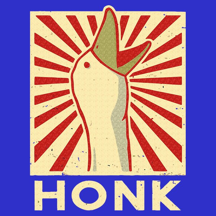 Honk goose  Funny Duck chicken meme Idea  T-Shirt