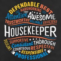 Housekeeper Gifts Funny Housekeeping Week Appreciation 7 Panel Mesh Trucker Snapback Hat