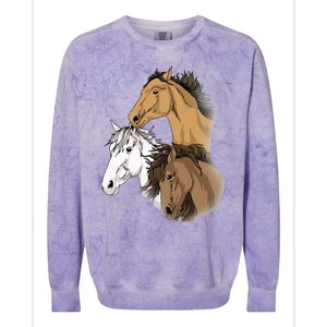 Horse Gifts For G 10 12 Horse Women Love Riding Colorblast Crewneck Sweatshirt