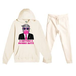 Haters Gonna Hate Funny Sunglasses Trump Bubble Gum 2024 Premium Hooded Sweatsuit Set