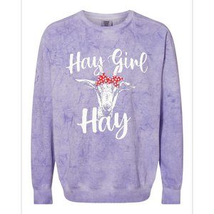 Hay Girl Hay Goat Whisperer Farm Animal Rancher Farmer Colorblast Crewneck Sweatshirt