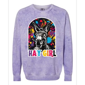 Hay Girl Hay Donkey Laughing Donkey Country Farm Colorblast Crewneck Sweatshirt