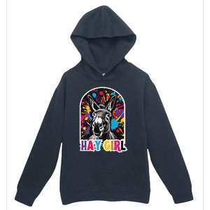 Hay Girl Hay Donkey Laughing Donkey Country Farm Urban Pullover Hoodie