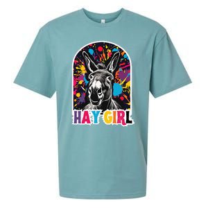 Hay Girl Hay Donkey Laughing Donkey Country Farm Sueded Cloud Jersey T-Shirt