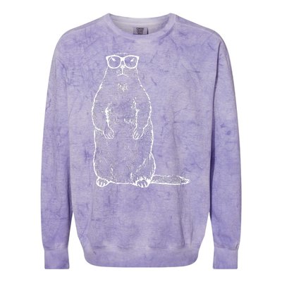 Hipster Groundhog In Nerd Glasses Colorblast Crewneck Sweatshirt