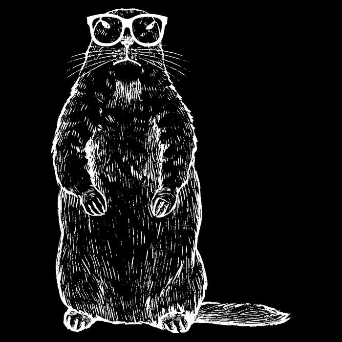 Hipster Groundhog In Nerd Glasses Button
