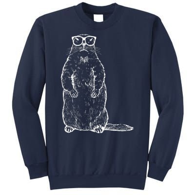 Hipster Groundhog In Nerd Glasses Sweatshirt