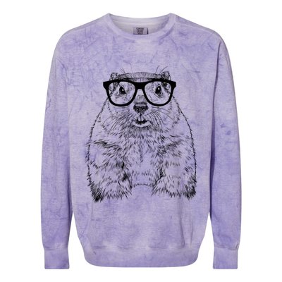 Hipster Groundhog In Nerd Glasses Animal Colorblast Crewneck Sweatshirt