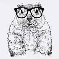 Hipster Groundhog In Nerd Glasses Animal Flatbill Hat