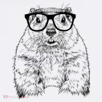 Hipster Groundhog In Nerd Glasses Animal Premium T-Shirt