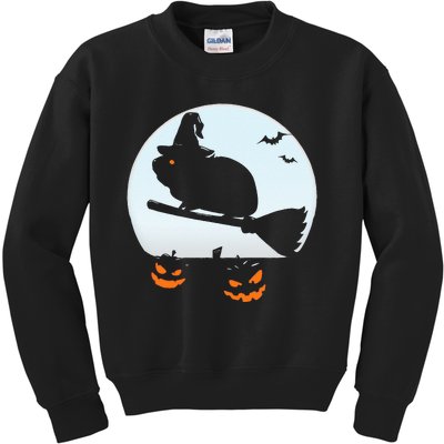 Halloween Guinea Pig Witch Costume For Kids Kids Sweatshirt