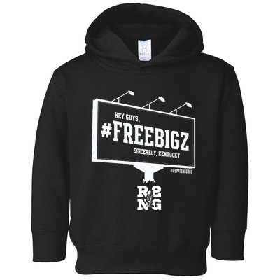 Hey Guys R2ng Freebigz Sincerely Kentucky Toddler Hoodie