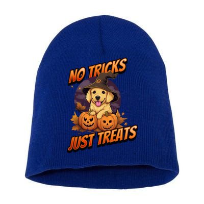 Halloween Golden Retriever Dog No Tricks Just Treats Gift Short Acrylic Beanie