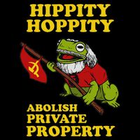 Hippity Hoppity Abolish Private Property Frog Meme Sustainable Beanie