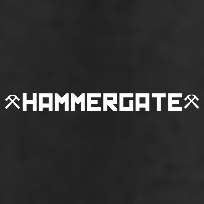 Hammergate Adult Drive Performance Visor