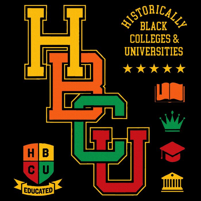 HBCU Historically Black Colleges Universities Grad Alumni Women's V-Neck T-Shirt