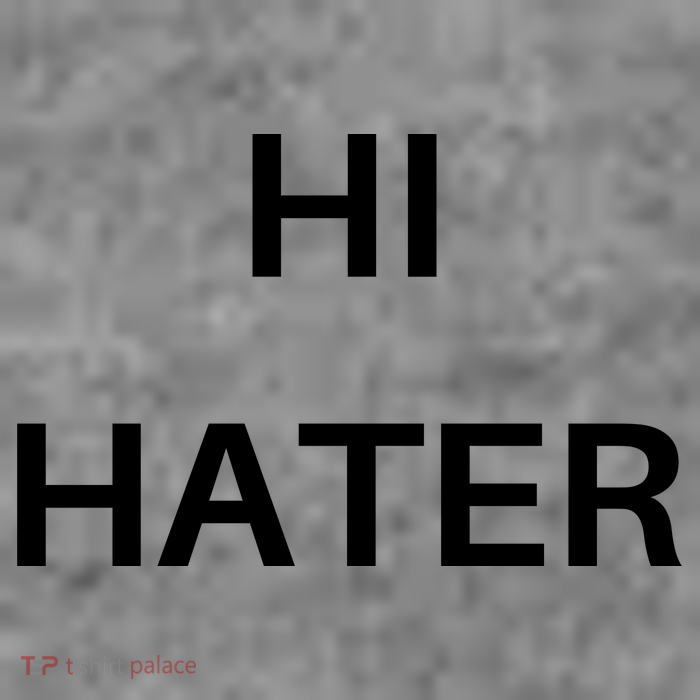Hi Hater Bye Hater Sustainable Beanie