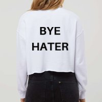 Hi Hater Bye Hater Cropped Pullover Crew
