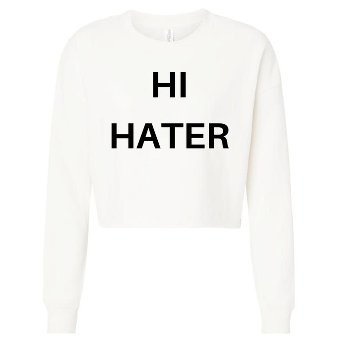 Hi Hater Bye Hater Cropped Pullover Crew