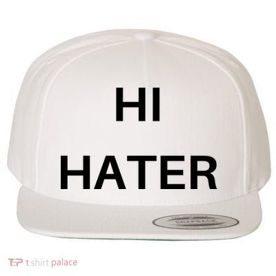 Hi Hater Bye Hater Wool Snapback Cap