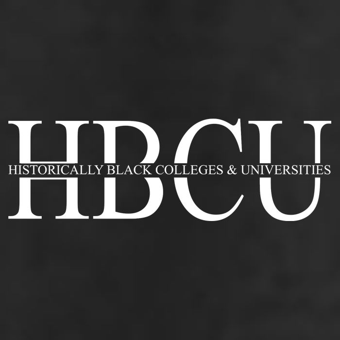 HBCU Historically Black Colleges & University Logo Adult Drive Performance Visor