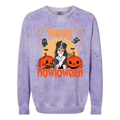 Happy Howloween Bernese Mountain Dog Lover Halloween Funny Gift Colorblast Crewneck Sweatshirt