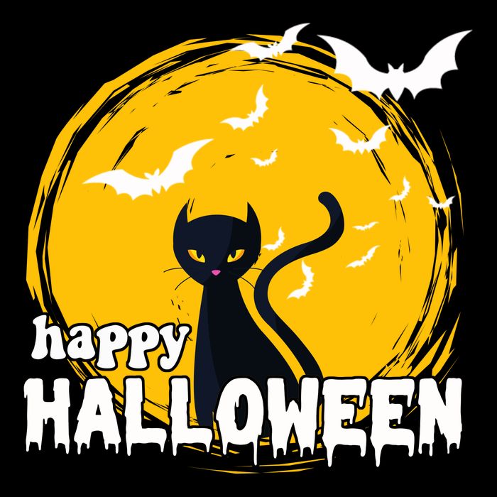 Happy Halloween Black Cat Spooky Bucket Hat