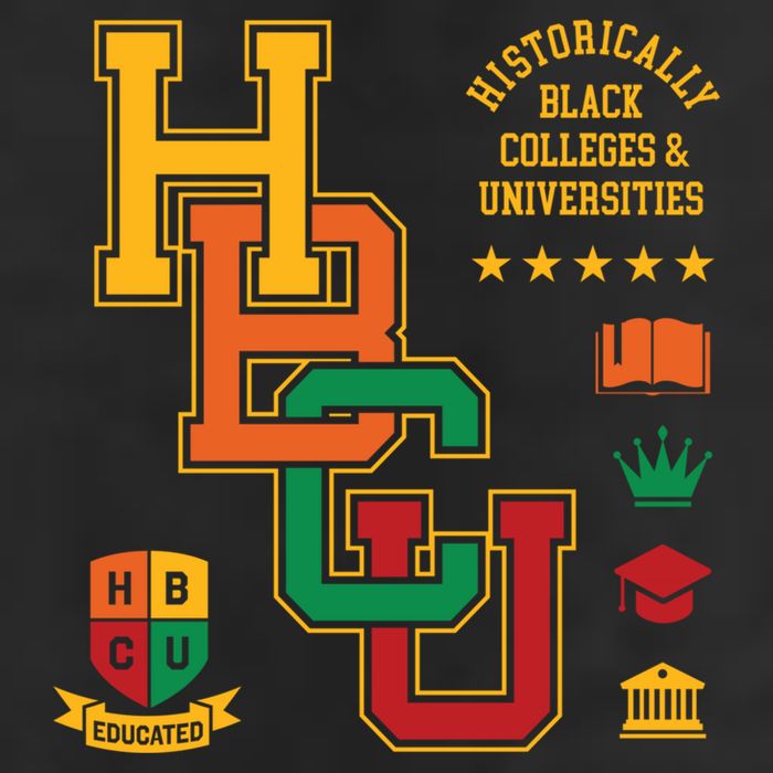 Hbcu Historically Black Colleges Universities Grad Alumni Gift Adult Drive Performance Visor