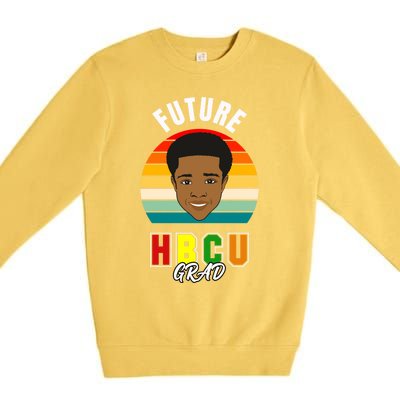 Hbcu Historically Black College Made African American Funny Gift Premium Crewneck Sweatshirt