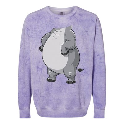 Hippo Hippopotamus Costume Gift Colorblast Crewneck Sweatshirt