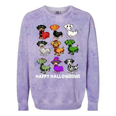 Happy Halloweenie Dachshund Halloween Dog Lover Funny Costume Colorblast Crewneck Sweatshirt