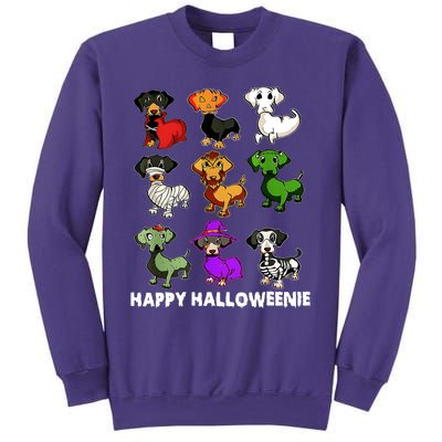 Happy Halloweenie Dachshund Halloween Dog Lover Funny Costume Sweatshirt