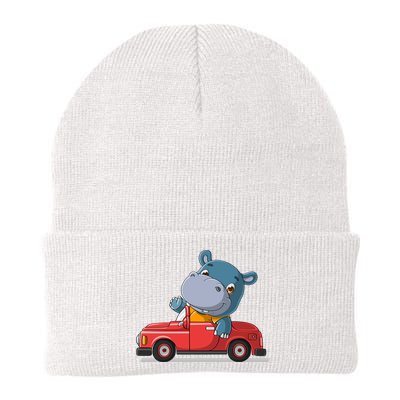 Happy Hippo Drive A Car Beanie