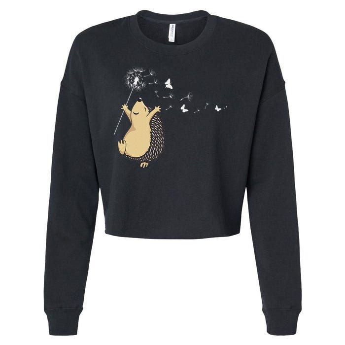 Hedgehog Cropped Pullover Crew
