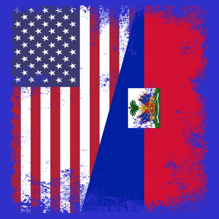 Half Haitian Flag Vintage Haiti Usa Gift Button