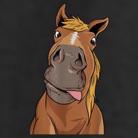 Hilarious Horse Face Horses Horseman Equestrian Riding Beanie