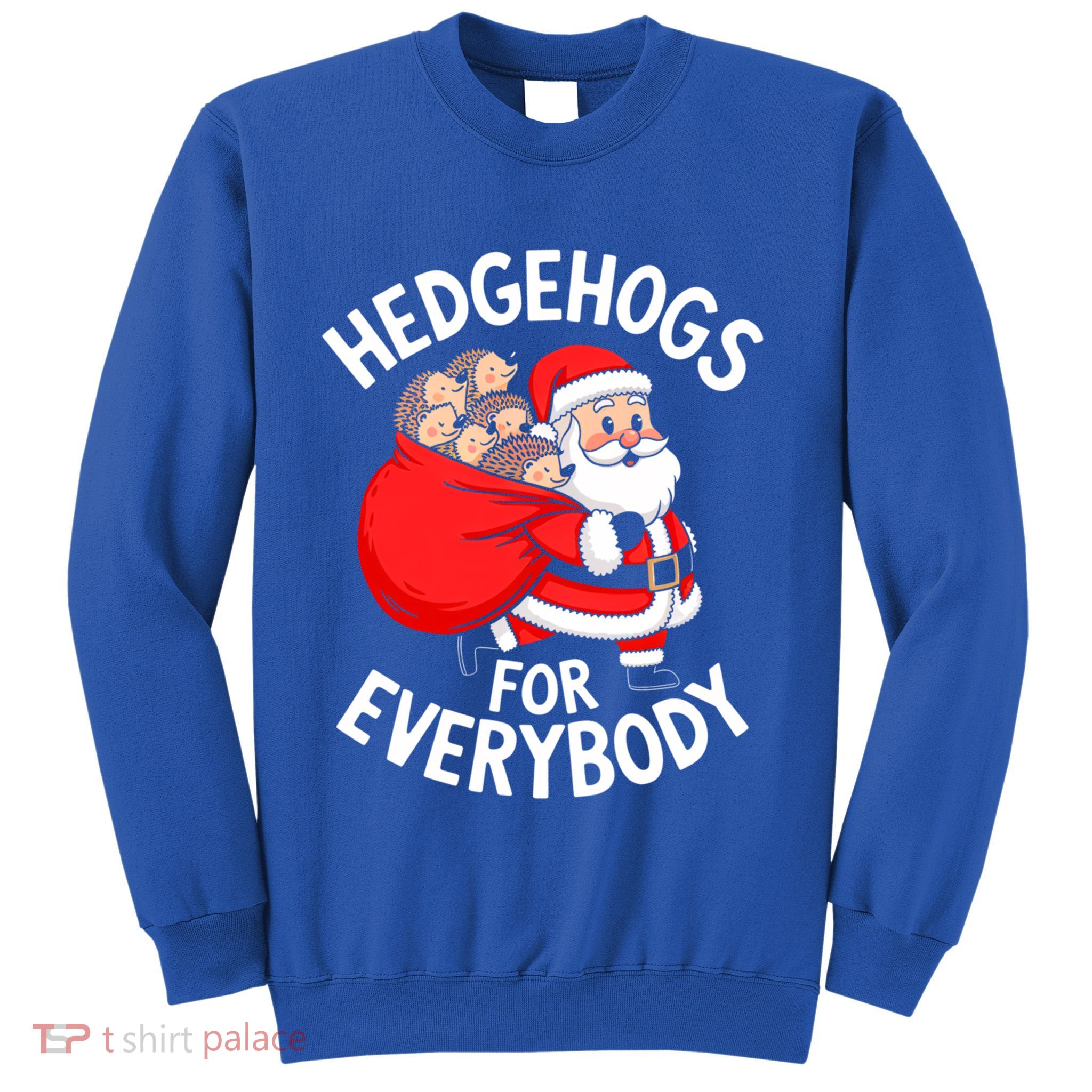Hedgehogs Hedgie For Everybody Funny Santa Christmas Cool Gift Sweatshirt