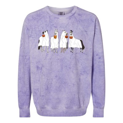 Halloween Horse Ghost Boo Cowboy Western Spooky Season Colorblast Crewneck Sweatshirt