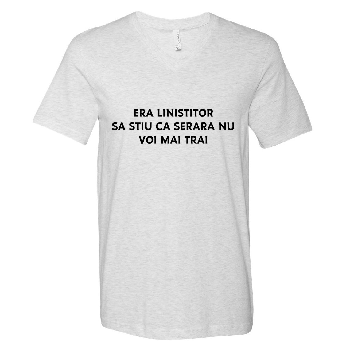 Hermann Hesse Gertrude Book Quote In Romanian V-Neck T-Shirt