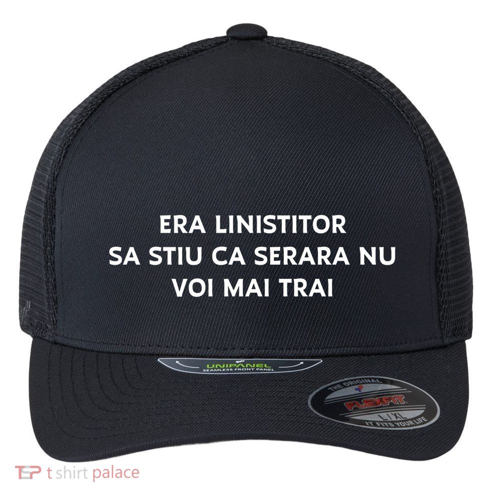 Hermann Hesse Gertrude Book Quote In Romanian Flexfit Unipanel Trucker Cap