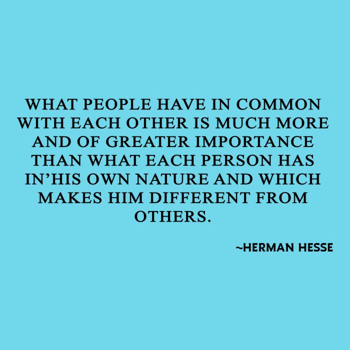 Hermann Hesse Gertrude Book Quote What People Have In Common Premium T-Shirt