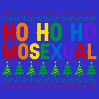 Ho Ho Homosexual Ugly Xmas Sweater Funny Lgbt Christmas Gift Hoodie