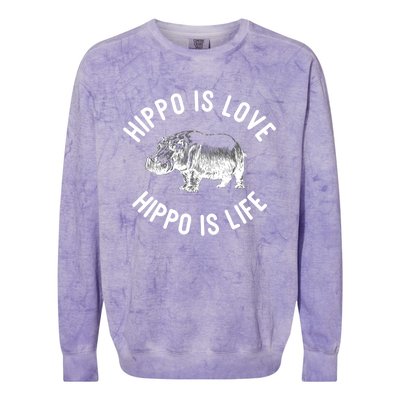 Hippos Hippopotamus Hippos Pygmy Hippopotamus Hippopotamus Gift Colorblast Crewneck Sweatshirt