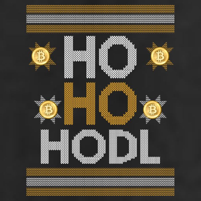 Ho Ho Hodl Crypto Currency Ugly Christmas 11oz C Handle Ceramic Mug
