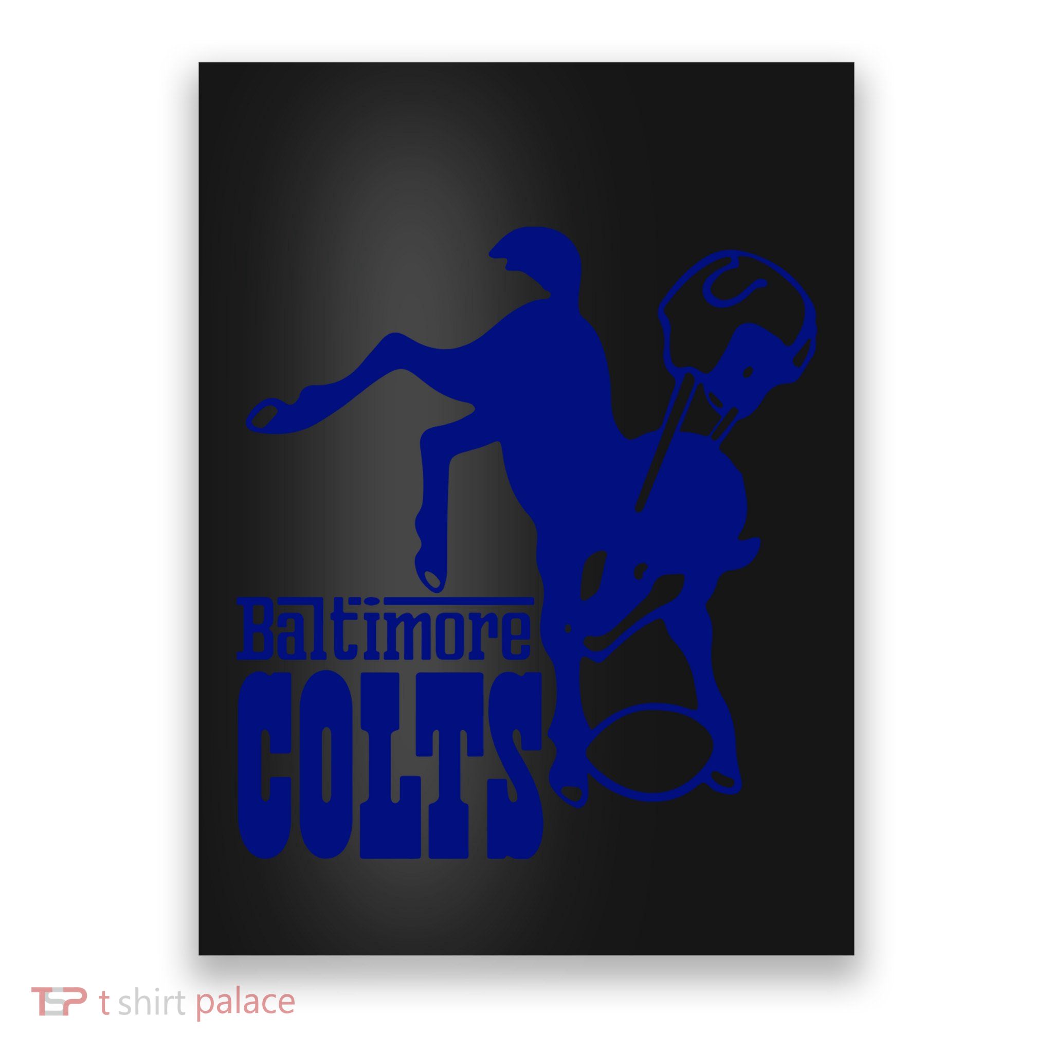 Horse Horseshoe Poster