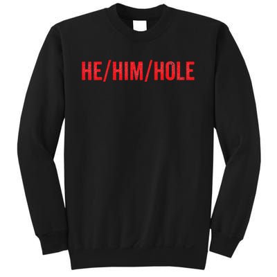 HE  HIM  HOLE Funny Trending Sweatshirt